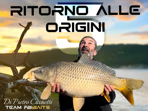 "Ritorno alle origini " Parte 5