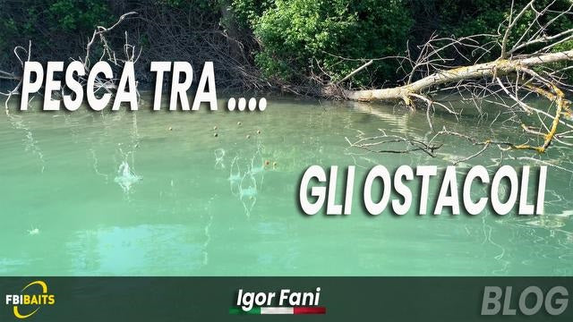 Dirty Fishing...pesca nelle legnaie