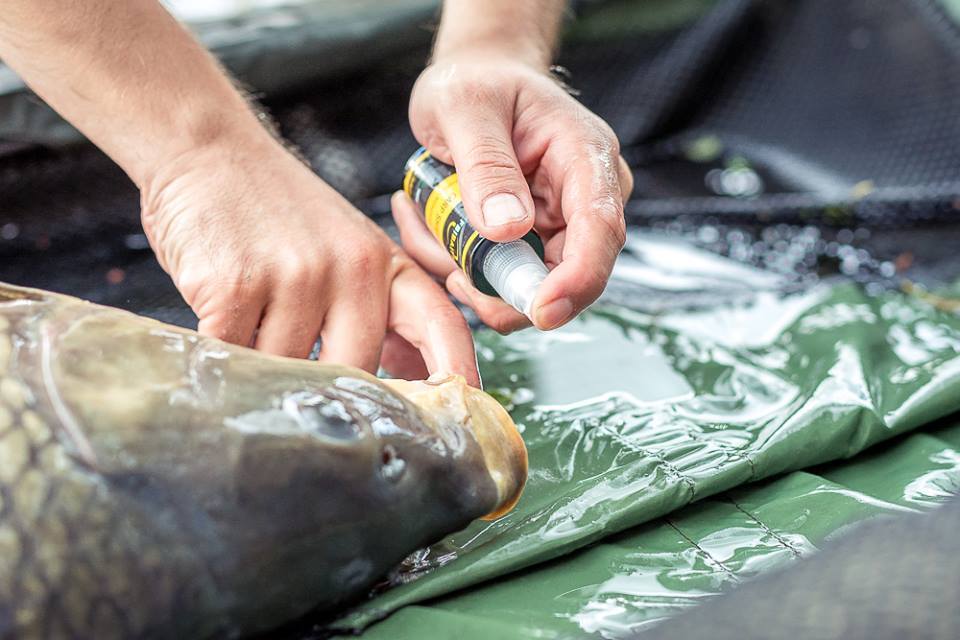 Carp Shield – Spray Carp Care 55 ml (Daily & Intensive)