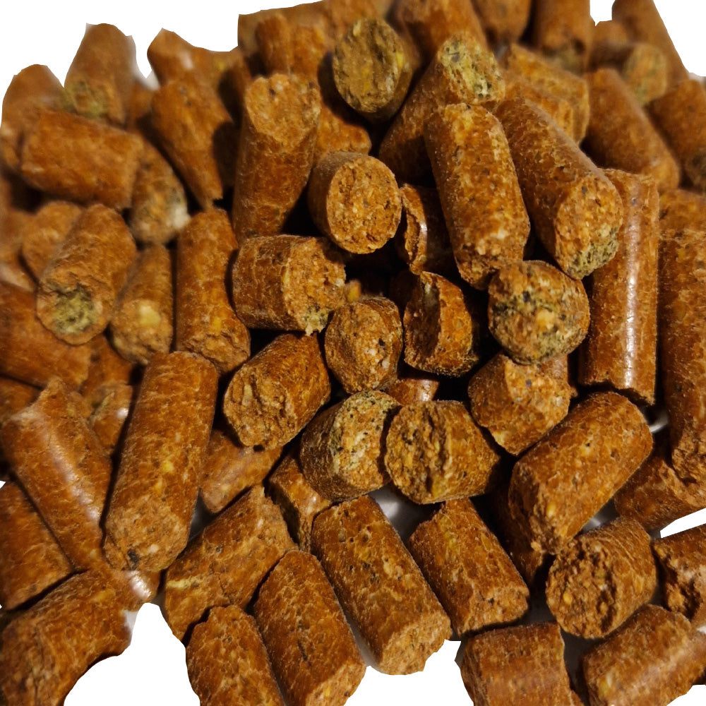 Carp Pellet Robin Red