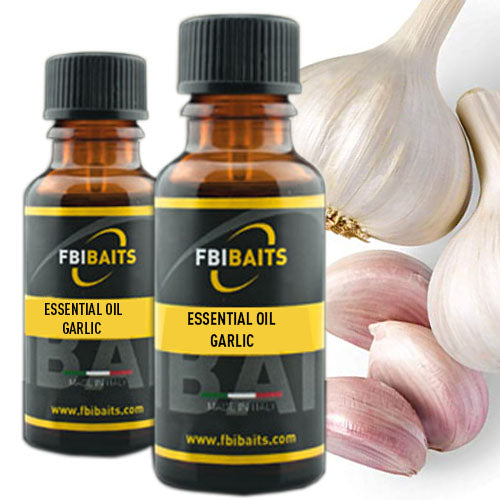 essential oil garlic carpfishing