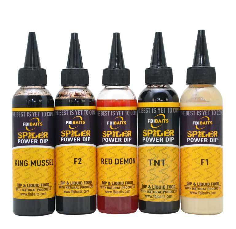 carpfishing dip